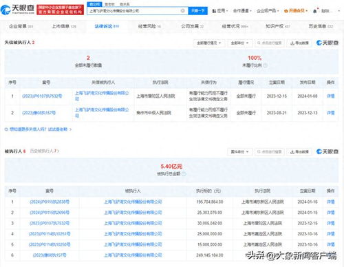 驢媽媽關聯公司成老賴，累計被執行超5.4億，旅客票務代理風險頻發